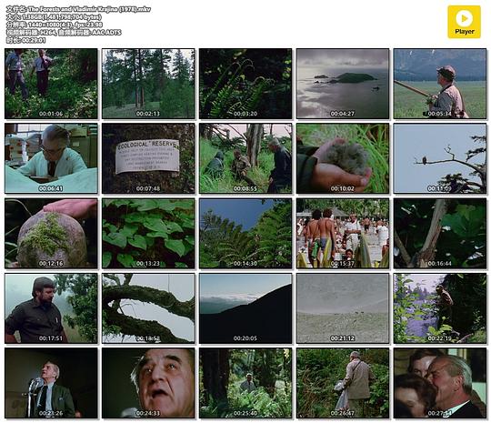 《森林与弗拉基米尔·克拉伊纳》纪录片封面