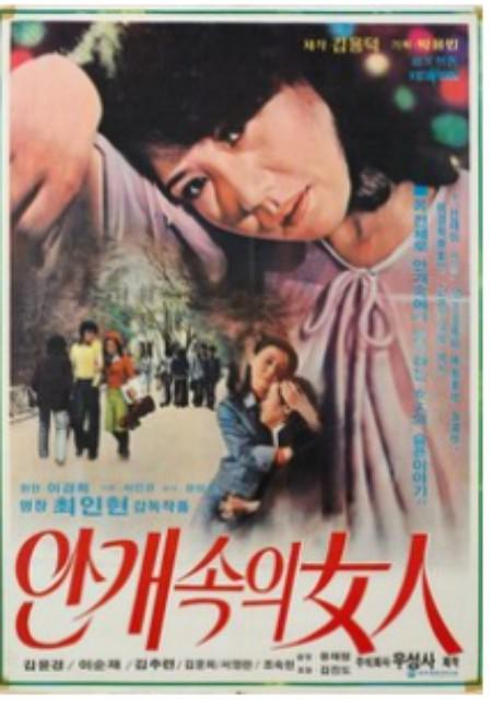 《안개속의 여인》电影封面