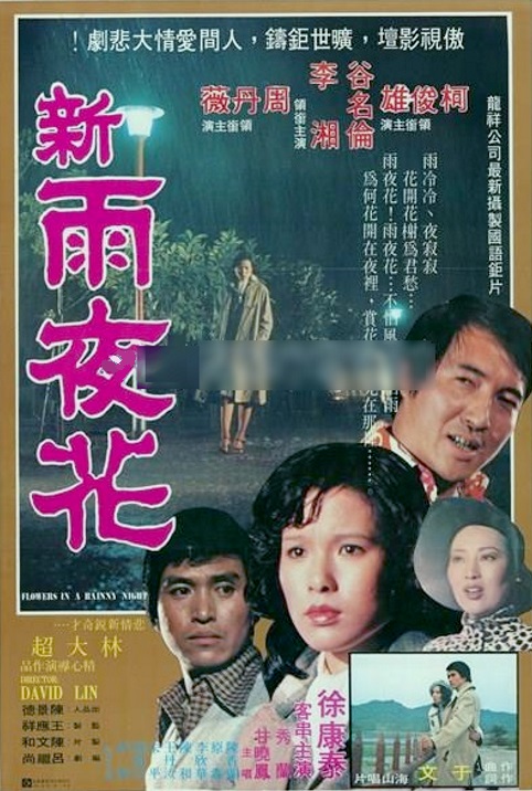 《新雨夜花》电影封面