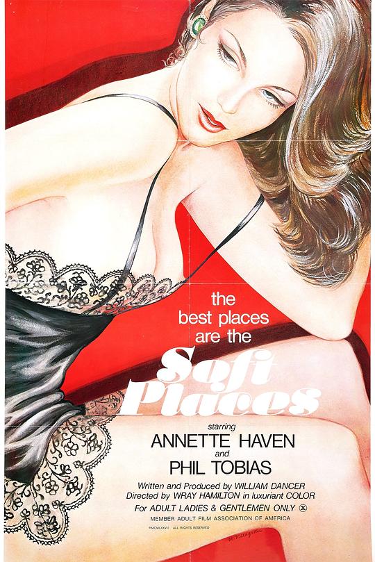 《温柔乡》电影封面