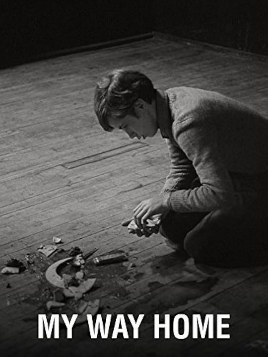 《回家的路》电影封面