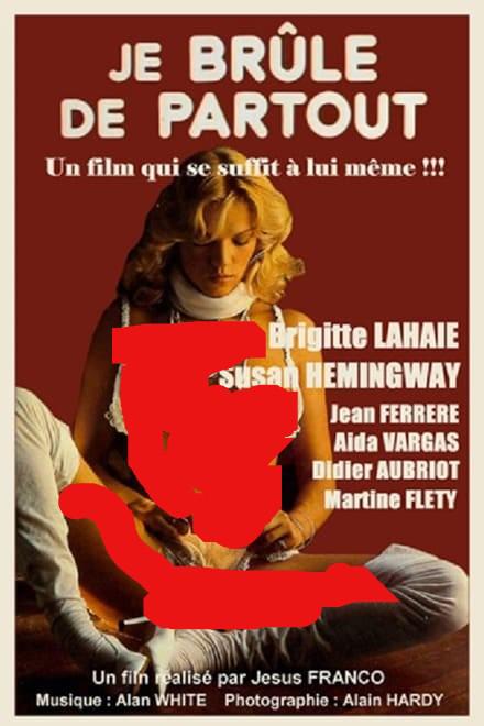 《毒燎虐焰》电影封面