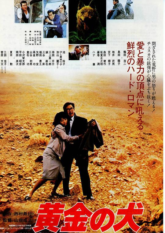 《黄金之犬》电影封面