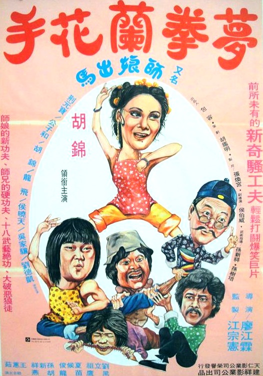 《师娘怪拳》电影封面