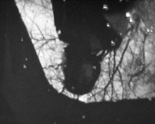 《Deeply Absorbed In Silent Conversation》电影封面