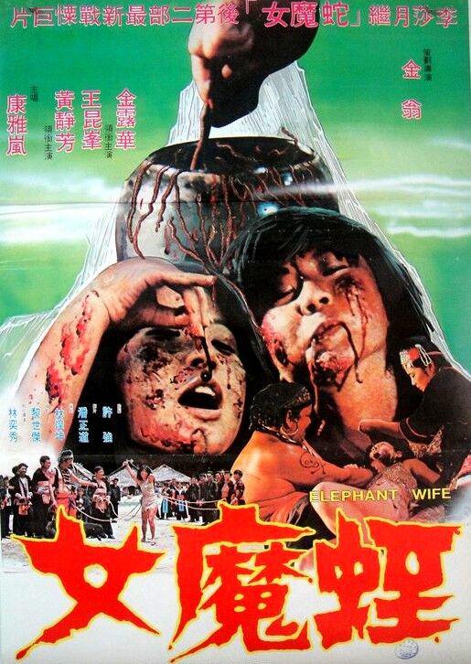 《蛭魔女》电影封面