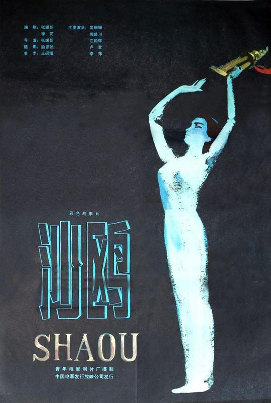 《沙鸥》电影封面