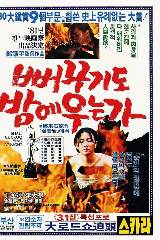 《布谷鸟也在夜晚哭泣吗？》电影封面