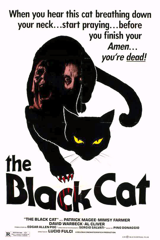 《黑猫》电影封面