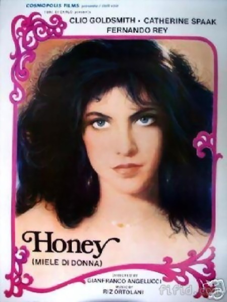 《欲望中的女人》电影封面