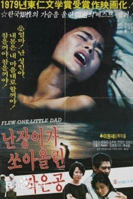 《矮人射出的小球》电影封面