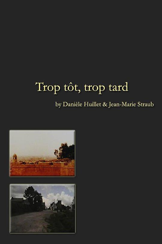 《太早，太迟》电影封面