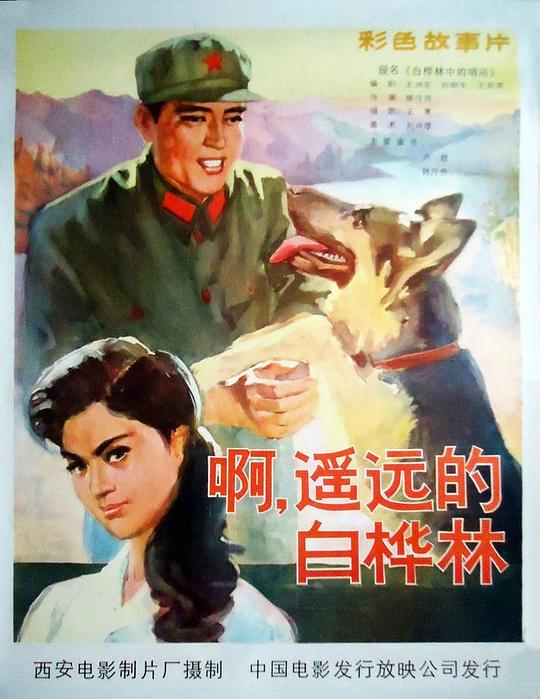 《白桦林中的哨所》电影封面