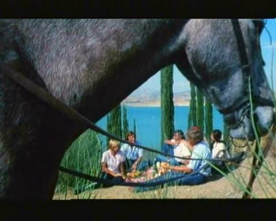 《堕落之夏》电影封面