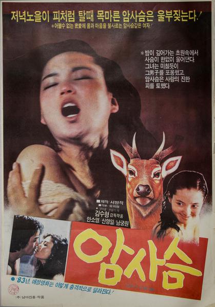 《母鹿》电影封面