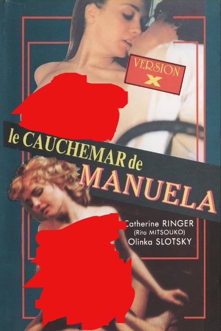 《曼纽埃尔的旋律》电影封面