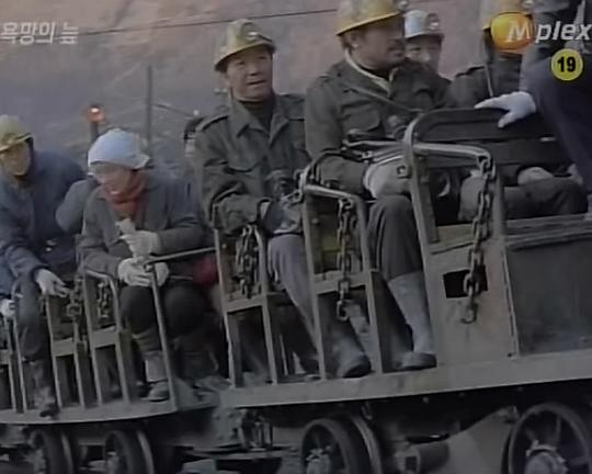 《欲望的沼泽》电影封面