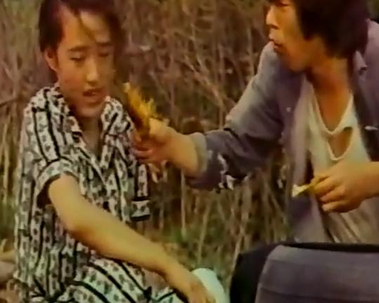 《树林里的傻瓜》电影封面