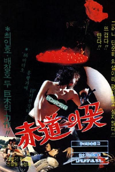 《赤道之花》电影封面