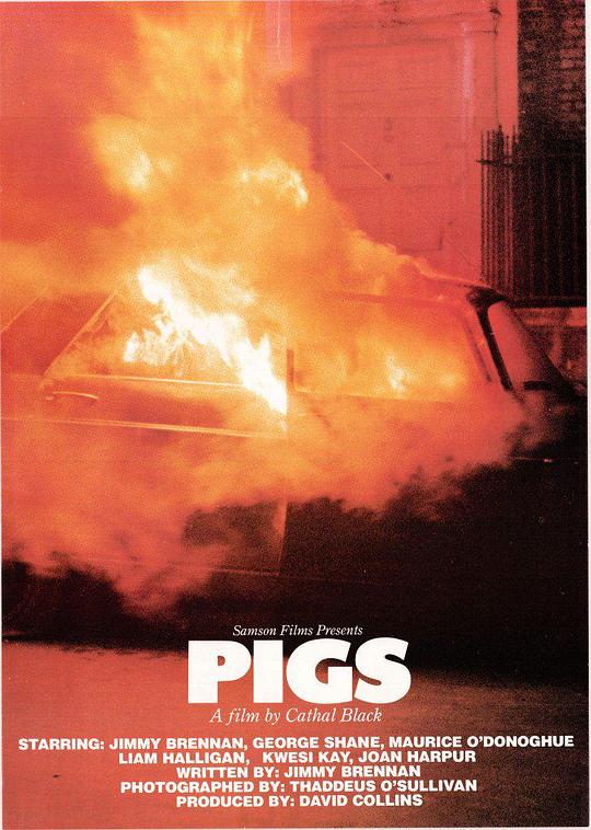 《Pigs》电影封面