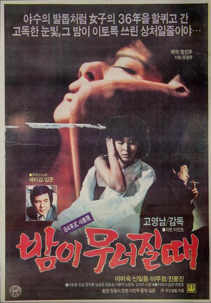 《夜晚破碎之际》电影封面