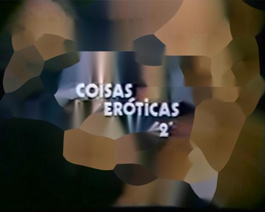 《Coisas Eróticas II》电影封面