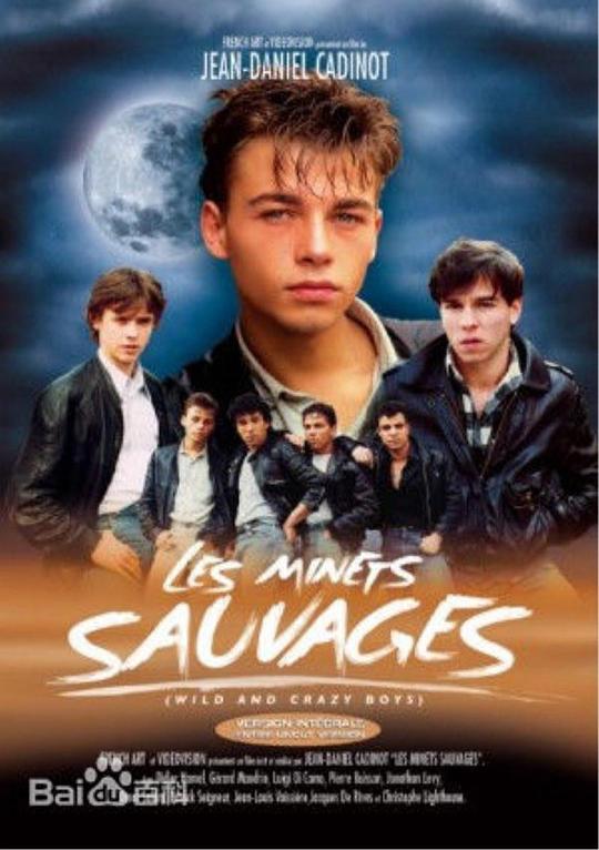 《流浪爱侣》电影封面