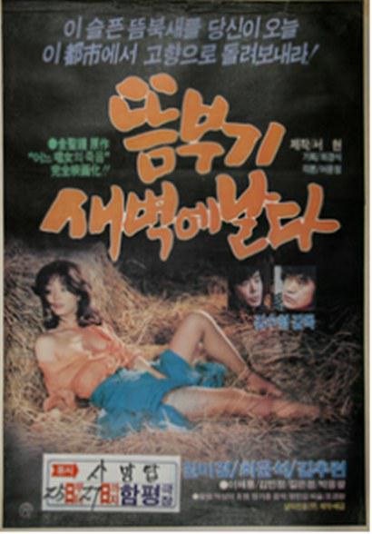 《秧鸡凌晨飞》电影封面