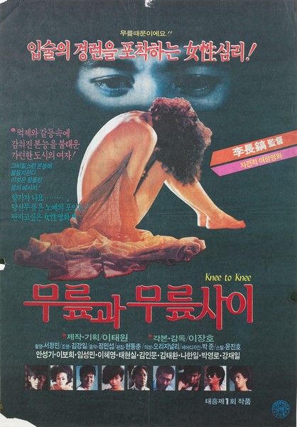 《一发不可收拾的情欲》电影封面