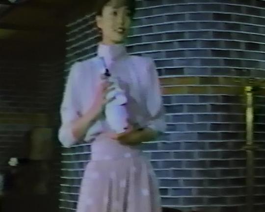 《海鸥之恋》电影封面