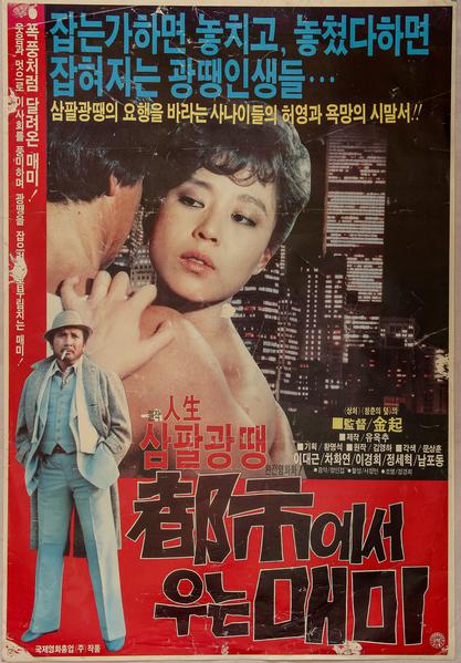 《城中蝉鸣》电影封面