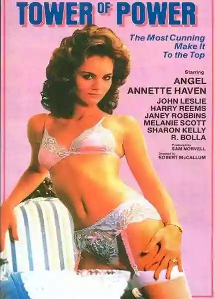 《贝利弗山的秘密》电影封面