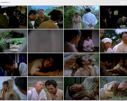 《骄阳》电影封面