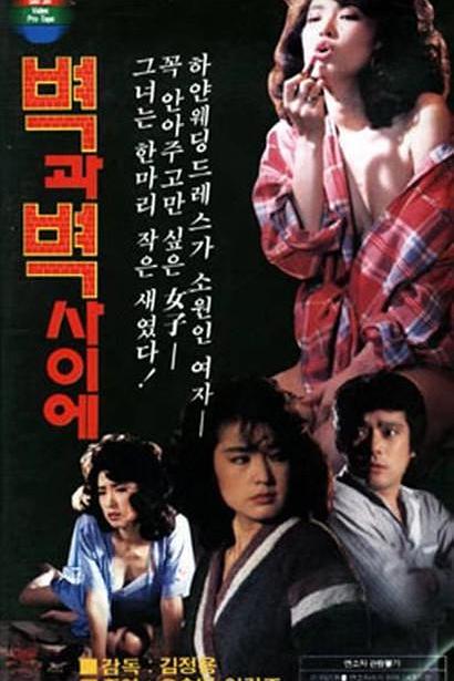 《壁之间》电影封面