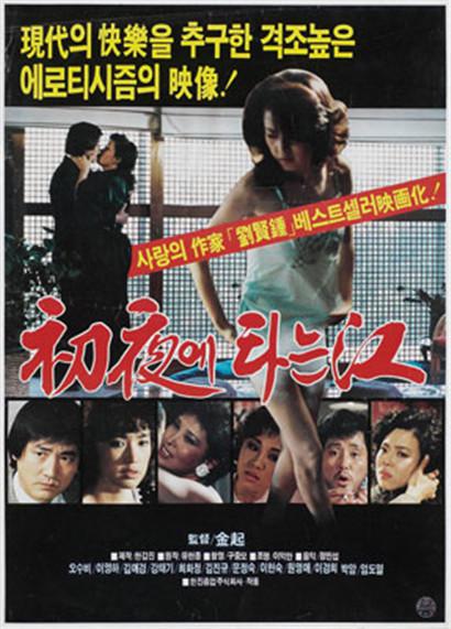 《新婚之夜》电影封面