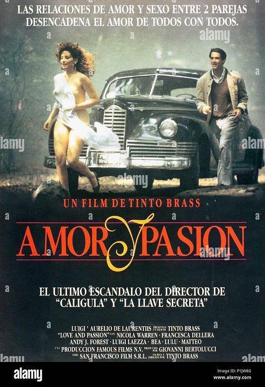 《爱与激情》电影封面