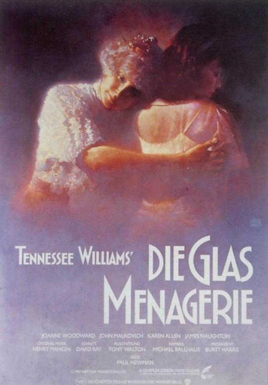 《玻璃动物园》电影封面