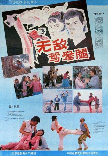 《无敌鸳鸯腿》电影封面