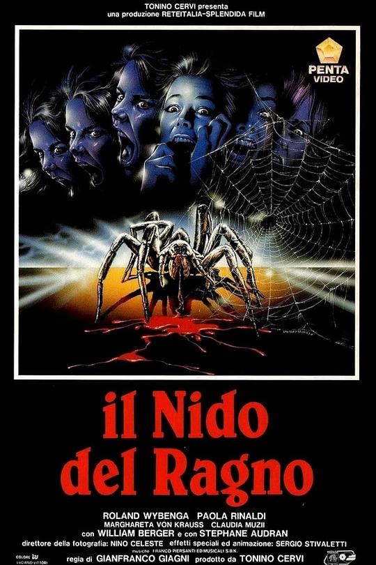 《蜘蛛迷宫》电影封面