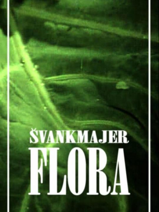 《花神》动画封面