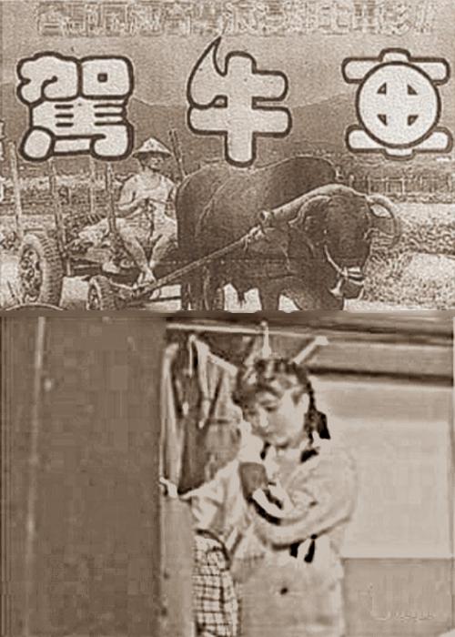 《驾牛车》电影封面