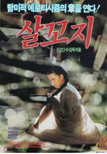 《复仇》电影封面