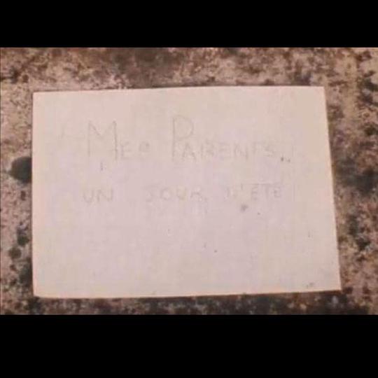 《夏日夫妻》电影封面