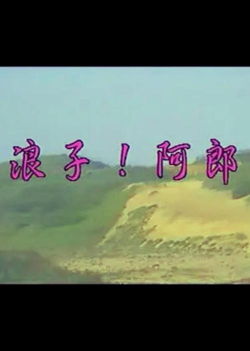 《浪子阿郎》电影封面