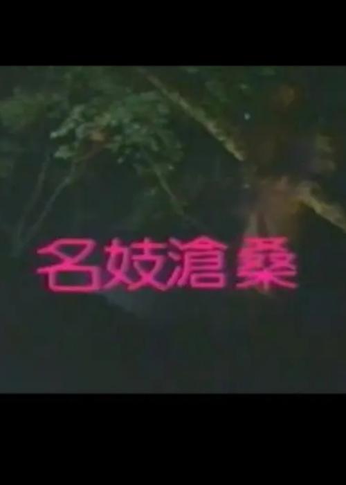 《名妓沧桑》电影封面