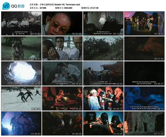 《少林大战终结者》电影封面