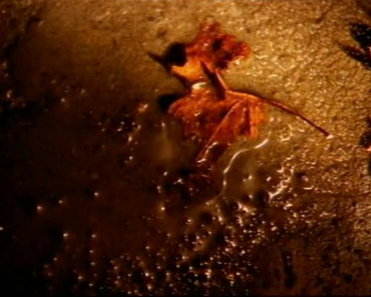 《梵谷的耳朵》电影封面