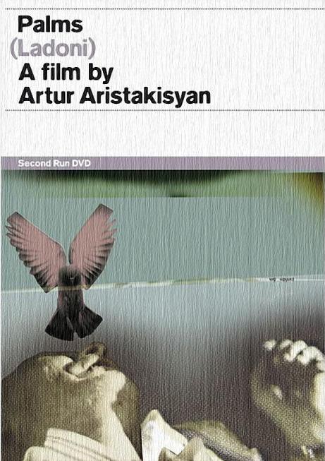 《掌心》纪录片封面