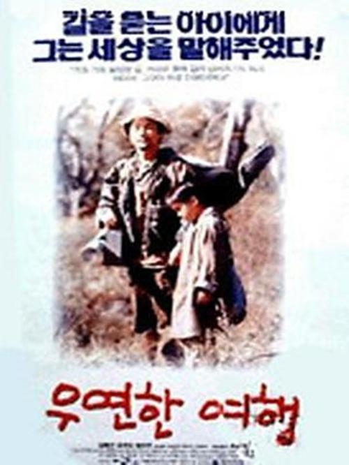 《偶然的旅行》电影封面