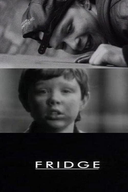 《冰箱》电影封面